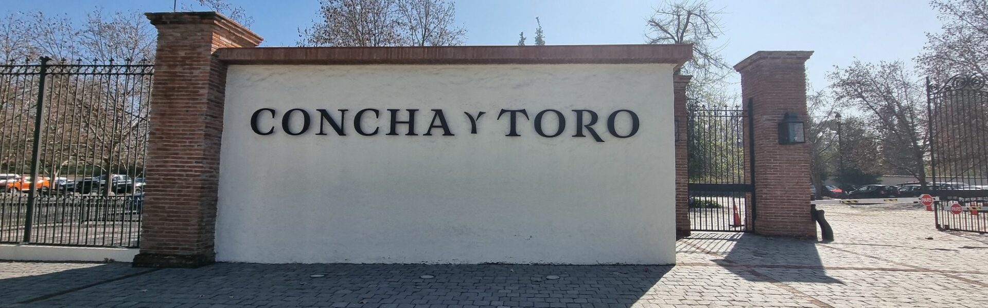 Experiencia en Bodega Concha y Toro thumbnail